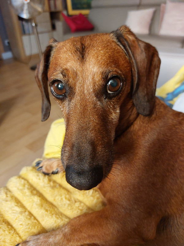 [Image: IMG-20230924-191159.jpg]