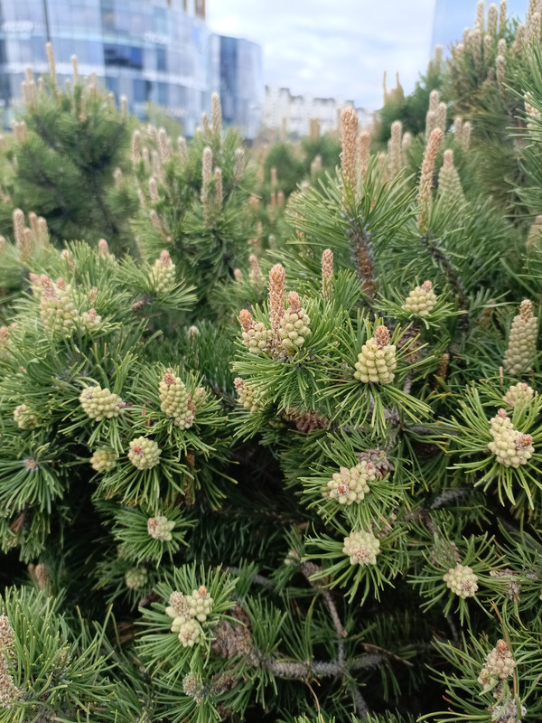 IMG_20240527_113315_788