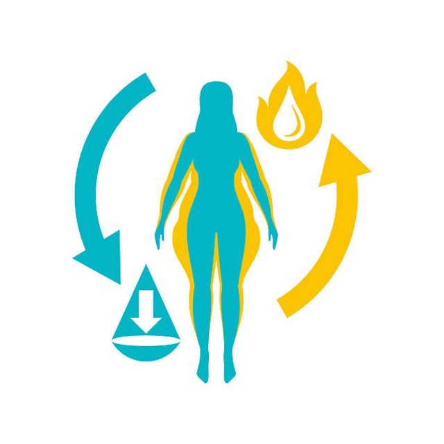 Fat Burner Capsules