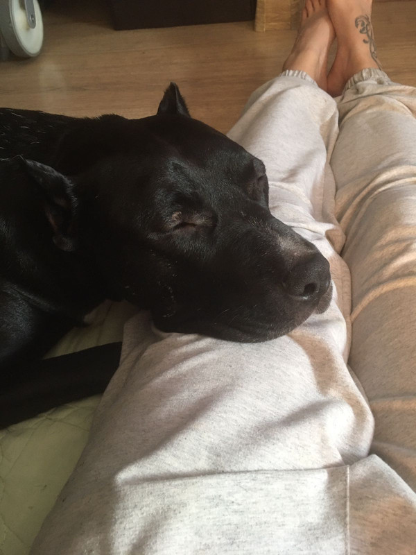 46F16AAD-2431-49BC-9296-7032C7580A2C