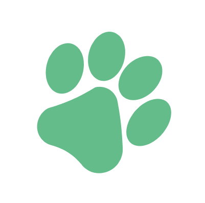 Refugio de Gatos Santuario Markat Mision