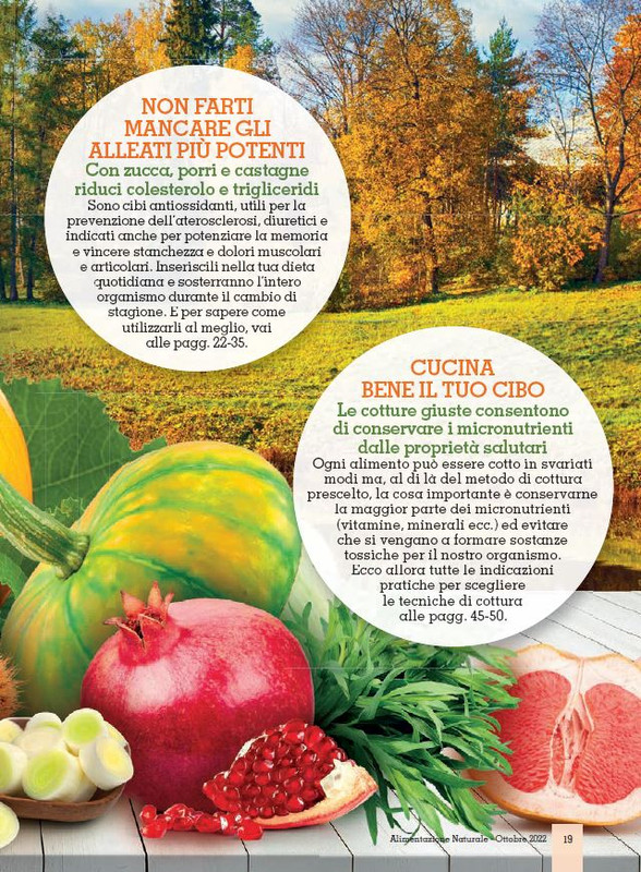 Alim Nat Ott 2022 (2)