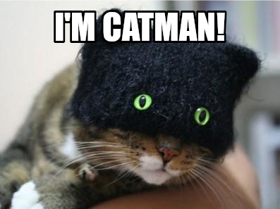 catman.jpg
