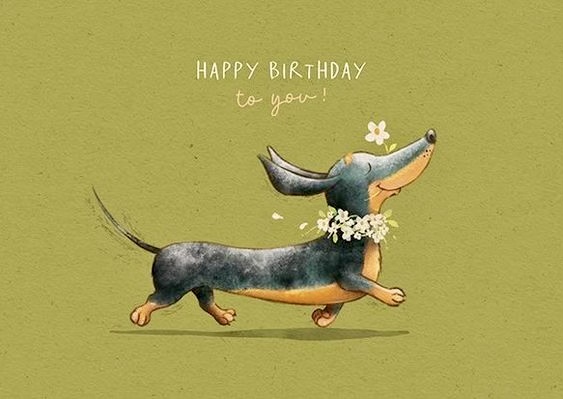 [Image: F97-D2-A81-E38-A-4418-BF23-29978750-DEC6.jpg]