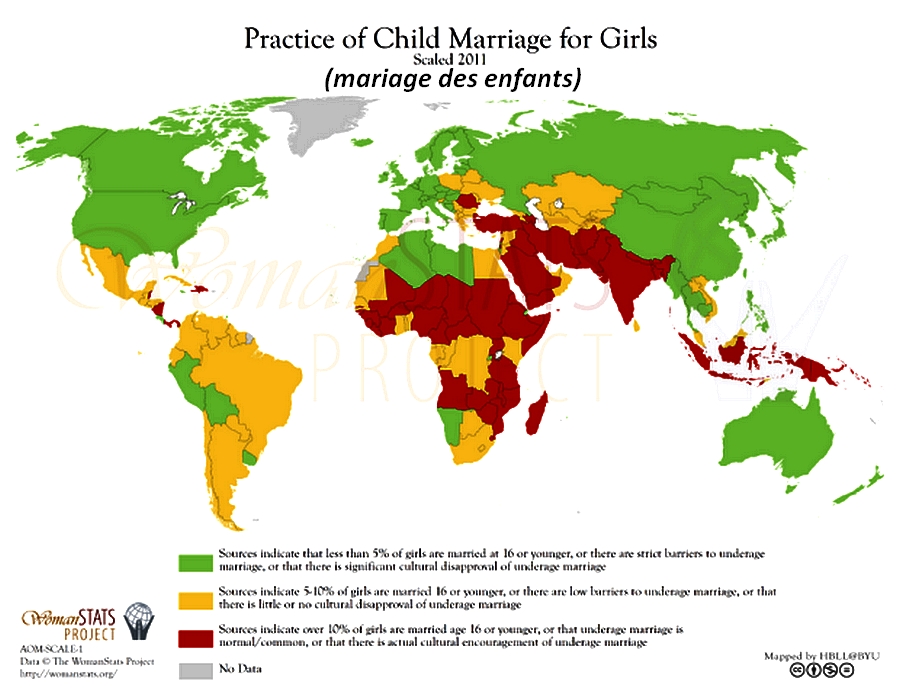 Carte Enrichissement  (15)