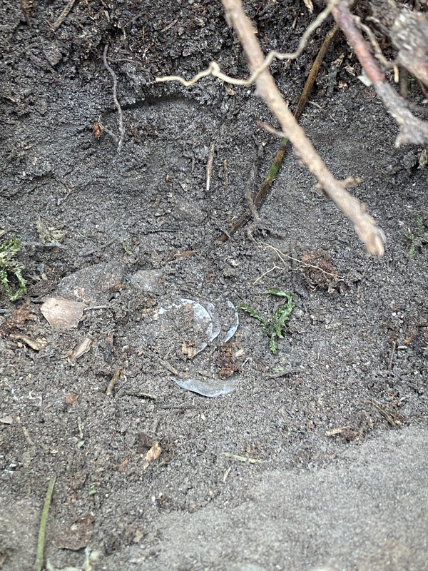 A52AA3C4-4B1C-4501-9A8C-759AA95DD61F