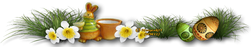 bdf8a23534-84558207-o2.png