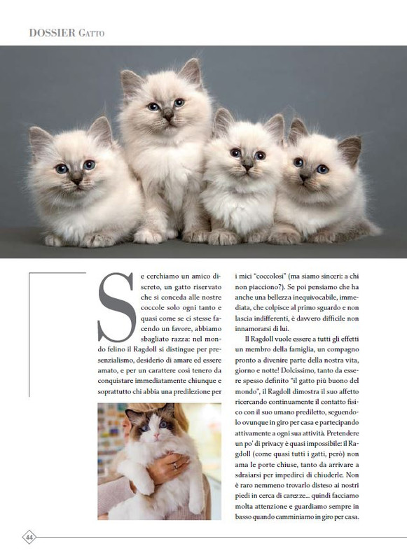 Argos Ott-Nov 2023 (5)