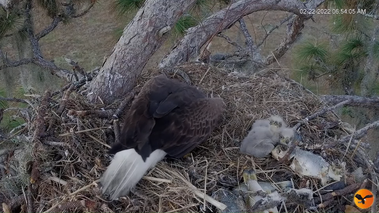 EC 4K Overhead Cam 13-7-51 screenshot