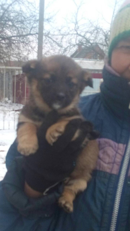 9C796A06-4BEF-4791-846B-E7F43ED6F972