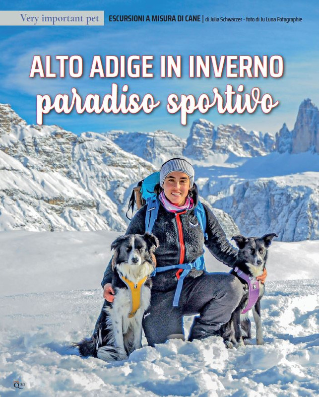 QuattroZampe Feb 2022 (3)