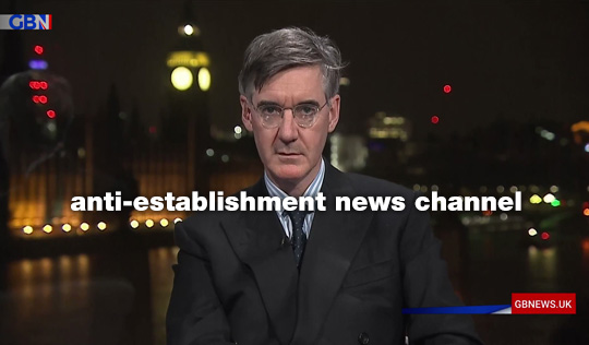 mogggbnews.jpg