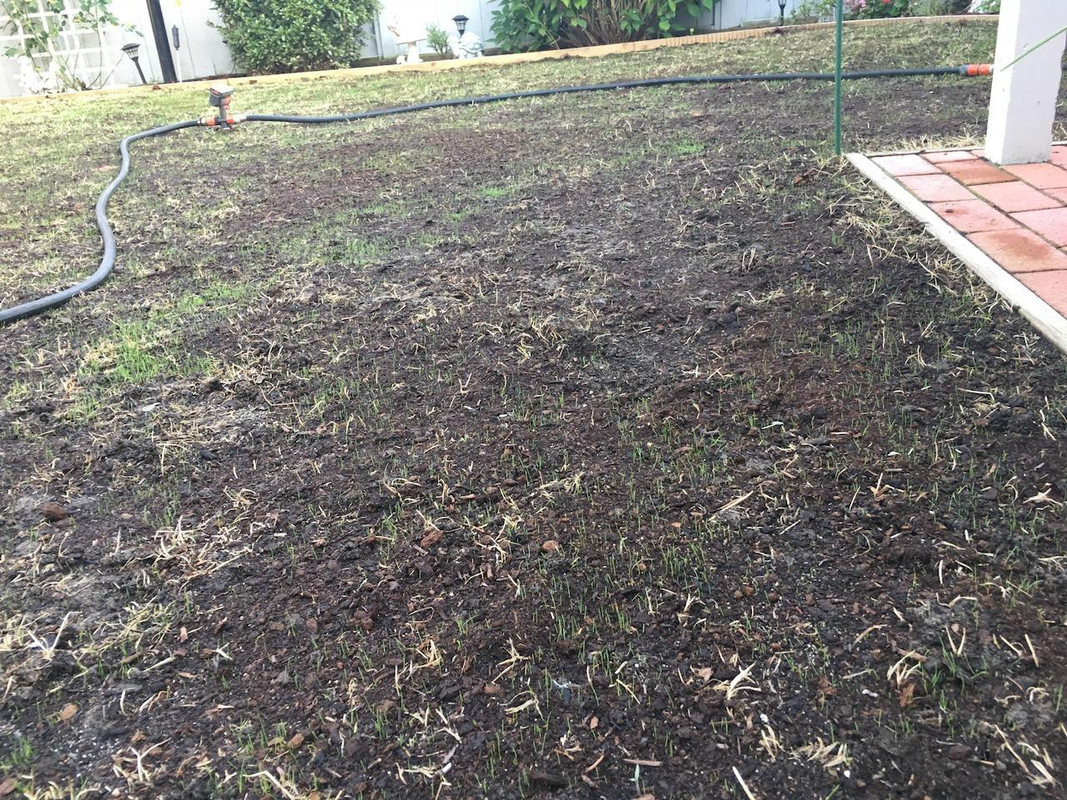 2017_Backyard_Reno_Day_8_2_small