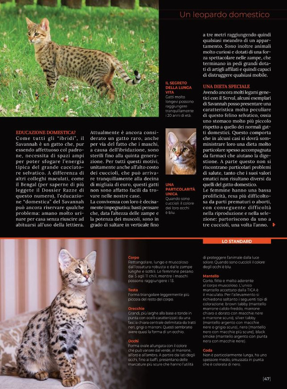 Ga Ma Ago-Set  2021 (10)