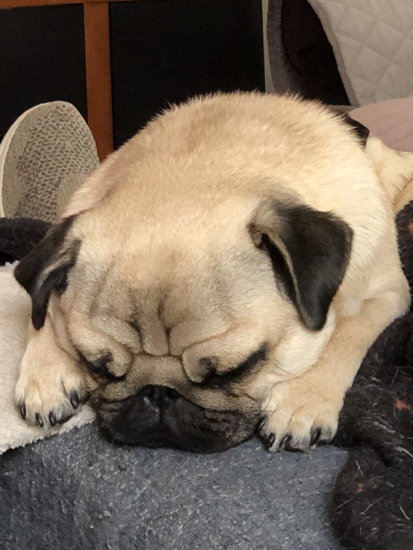 8CFC11D3-96EA-4996-A3B6-5C99A2231CB9