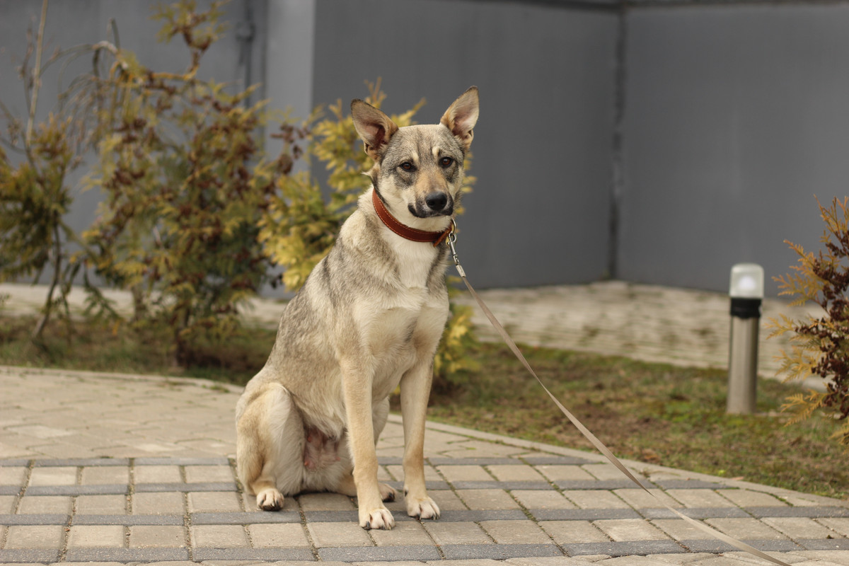 18E8364C-9F67-4157 is -B536-0ED3463FEC71