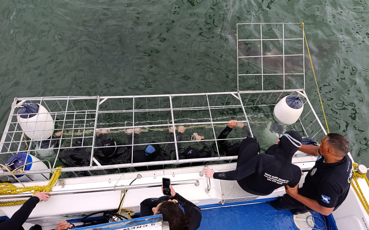 Такая близкая Африка. (ЮАР. 22 дня и 4200 км. Ноябрь-Декабрь)