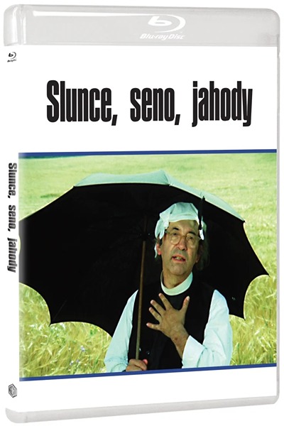 Slunce, seno, jahody (1983)