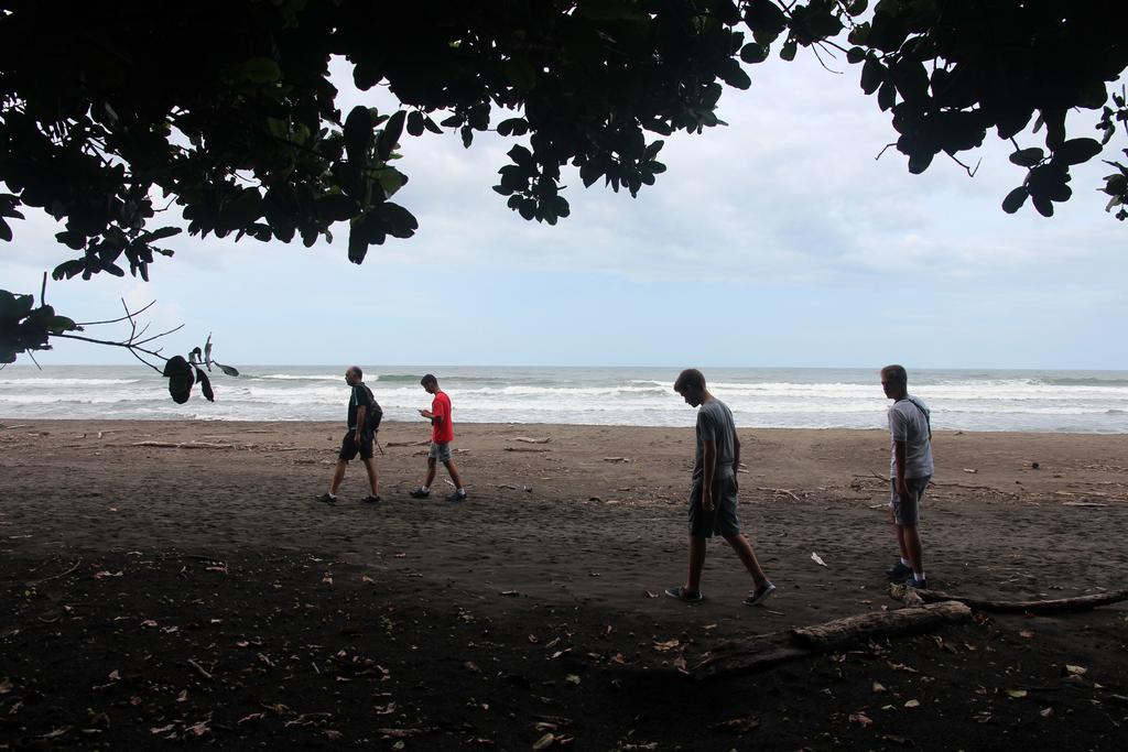 DIA 2: LLEGADA A TORTUGUERO - DE TORTUGAS Y PEREZOSOS. COSTA RICA 2019 (32)