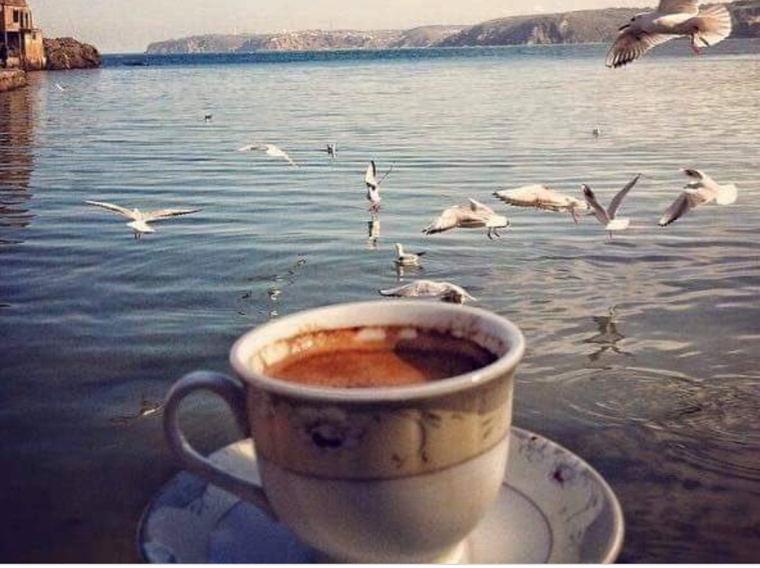 IMG_٢٠٢١٠٧٠٣_١١٢٢٣٩