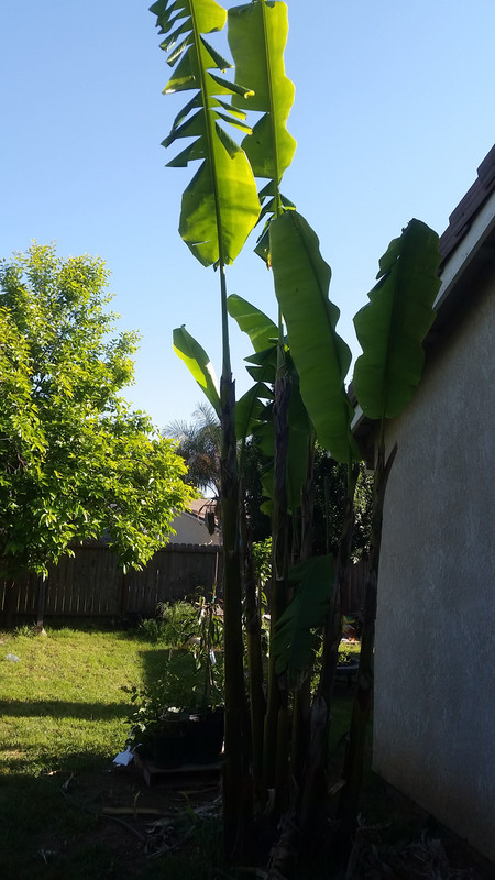 20180425_173818