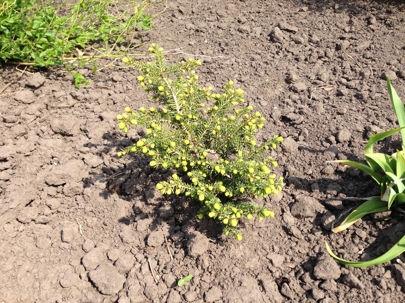 2015-05-02 13.42.52