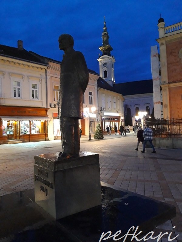 Slika
