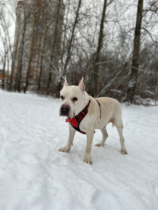 52DD6428-7363-4526-B8C3-61C637A76062