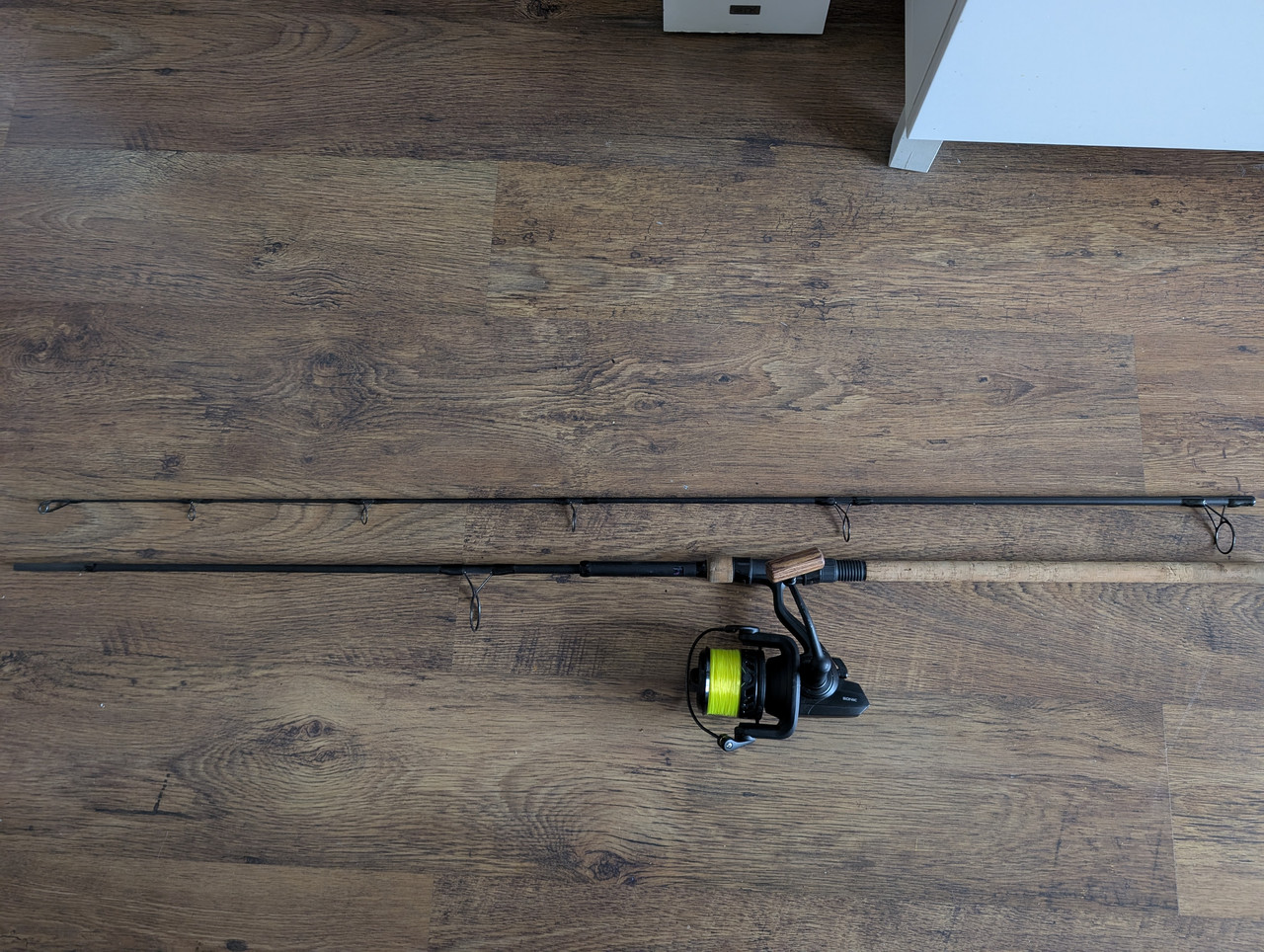 PXL 20260213 115600751