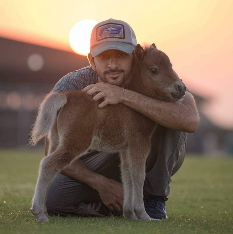 5C348B4B-F84D-45A9-A2BA-166CA60D7C9E