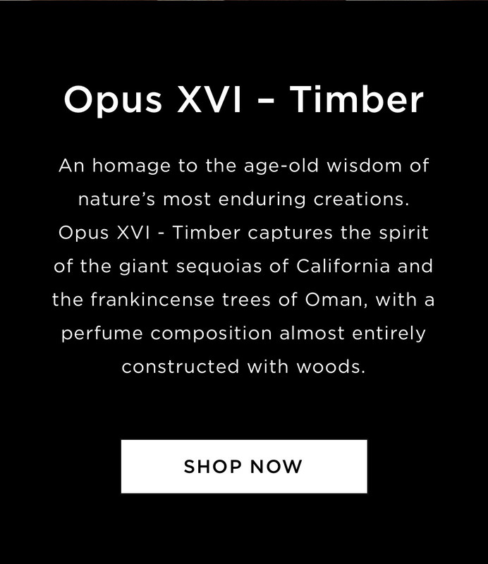 [Obrazek: IMG-3437.jpg]