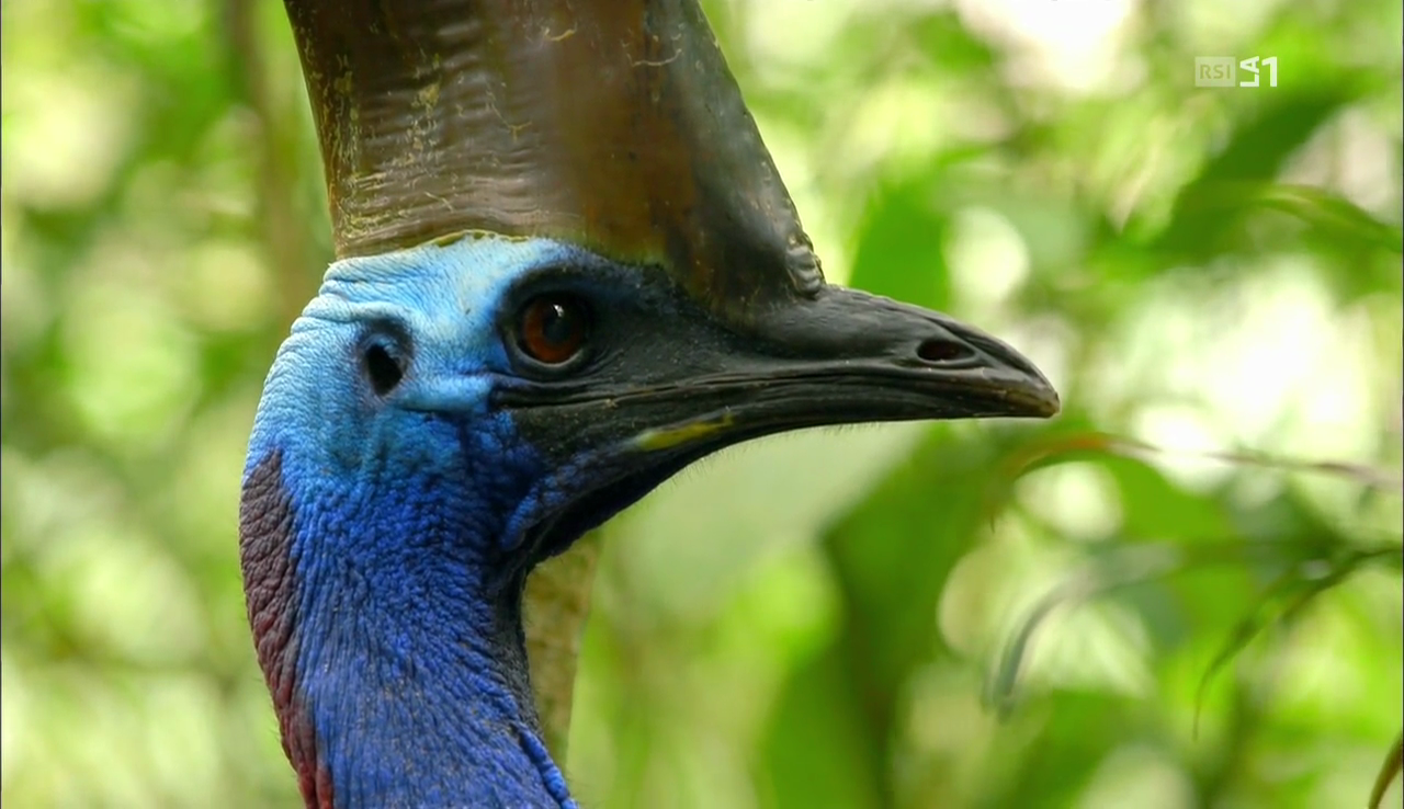 vlcsnap-2017-03-06-17h54m30s011