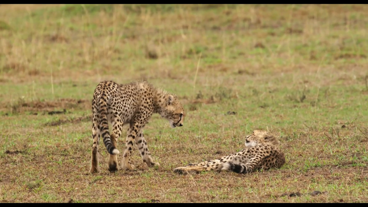 vlcsnap-2023-03-13-10h05m55s900