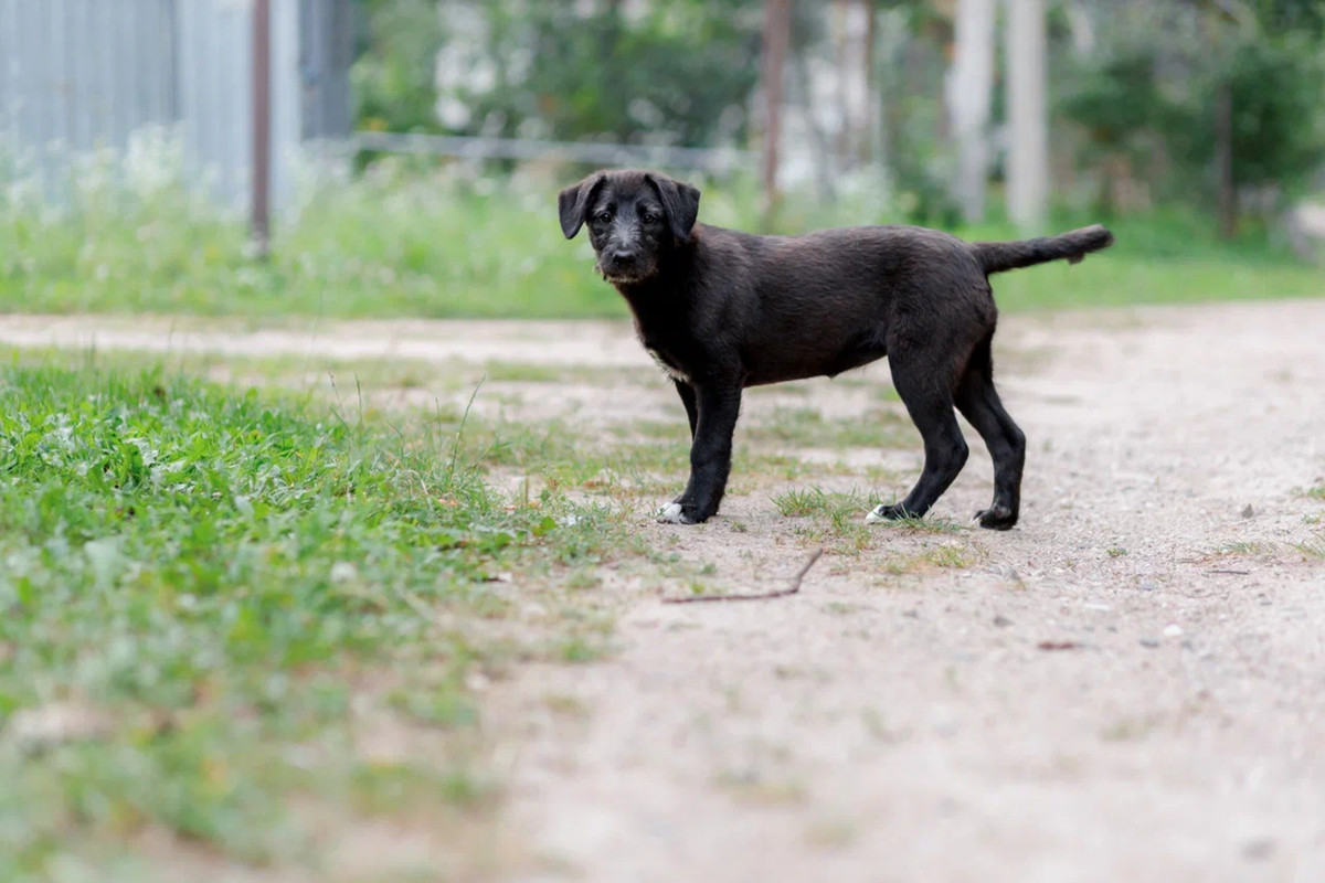 resize-image-online.com_6jpg_UStCaUbX