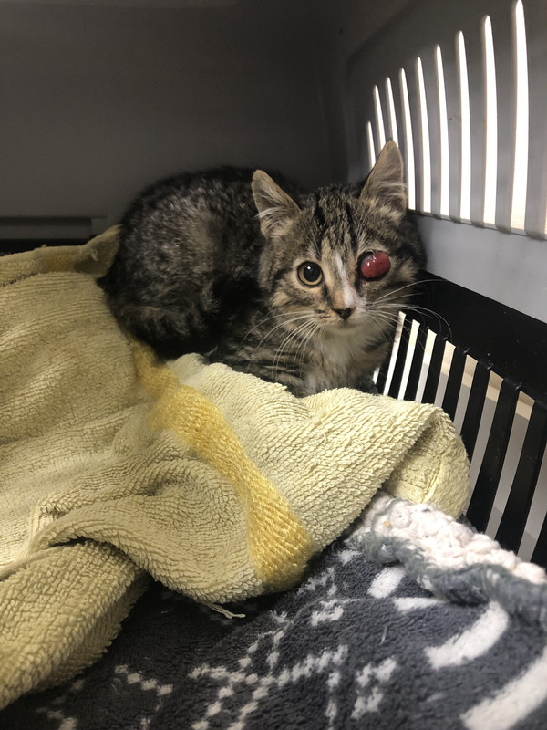 FC87A7F3-95CE-44BF-82BE-BCD545E3FD26