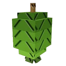 Feijoa