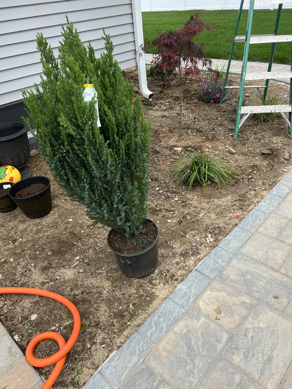 B2F9351E-AEC6-4404-9E48-44DDFE6190EC