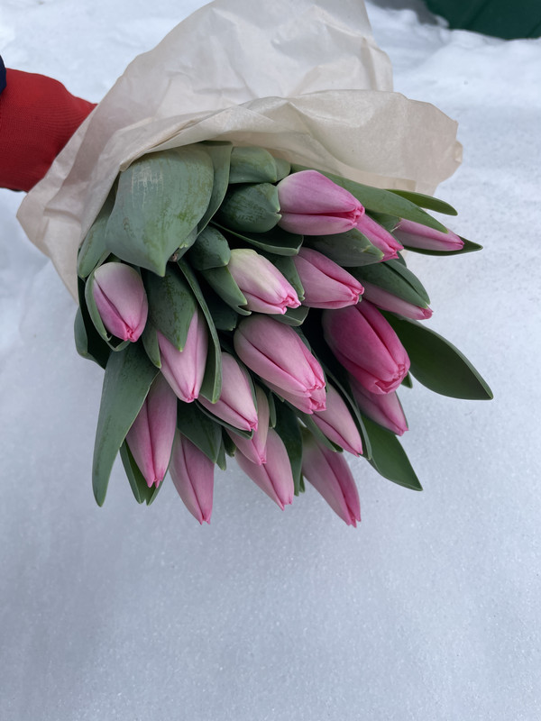 https://i.postimg.cc/gJBLcYW2/IMG-7496.jpg