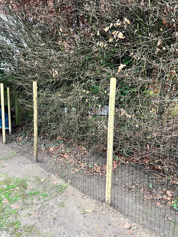 Wire fencing by MW Handyman