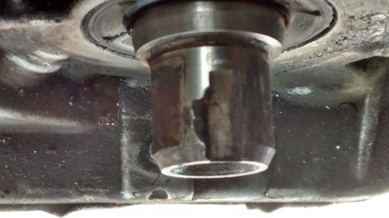 WhatsApp Image 2018-05-02 at 20.55.16