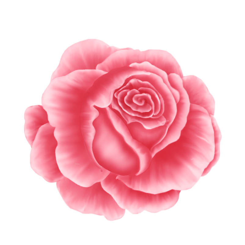 BIBI-PINK ANGEL ELEMS (34)