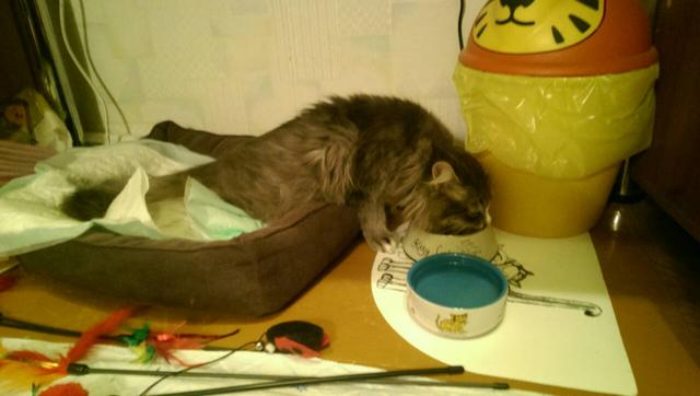 IMG-9a5273f7cd1641a4e7f0259532e93d39-V