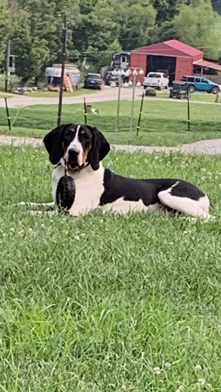 B45706AA-19BC-414C-B3FD-8A8503587376