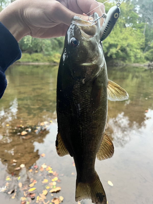 97AF9386-35BE-45CD-A6BC-2A58603691DD