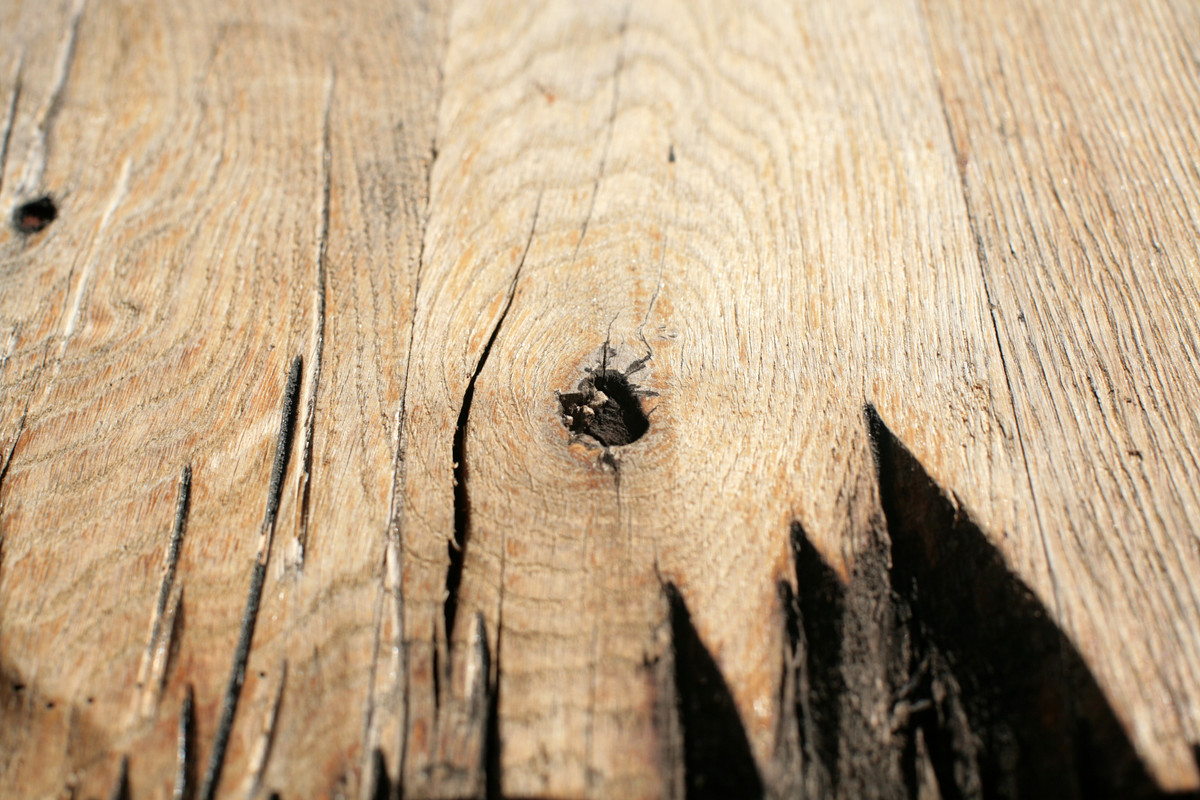IMG 2951 — Postimages