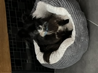 [Image: 08-BBF11-A-3526-4-A05-AFEE-3430-A1-D33-DF4.jpg]