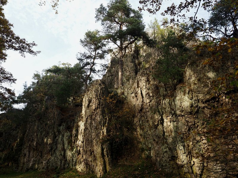 PA290889.jpg