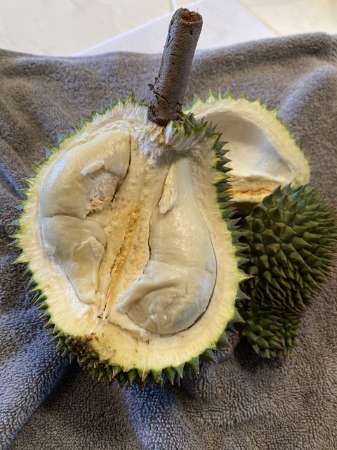 82301FBC-CC8A-4D5D-8EAF-34128CB593E0