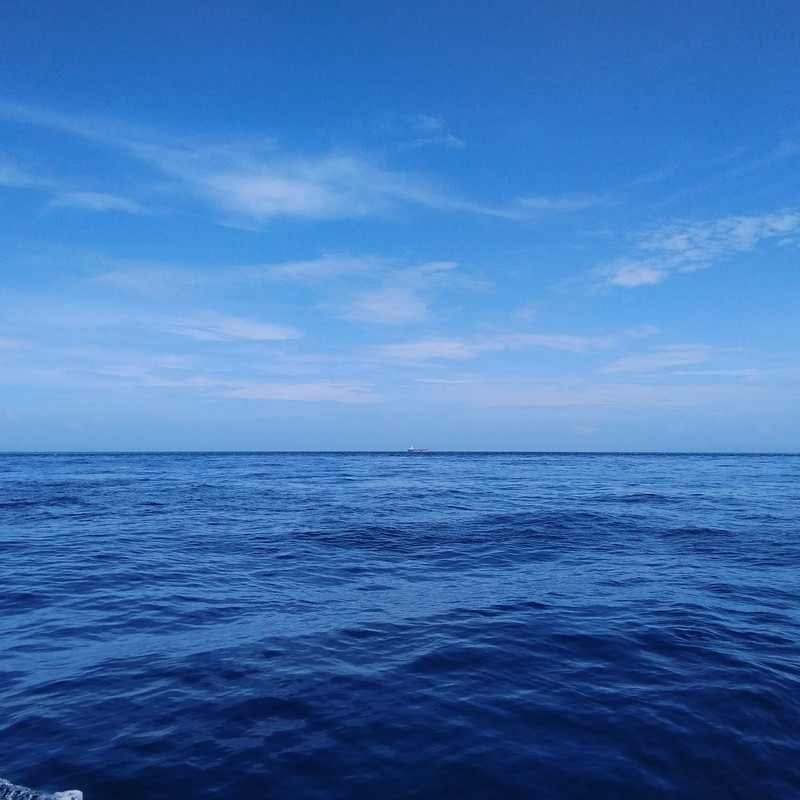 La mia vita. Римские записки, дневник онлайн