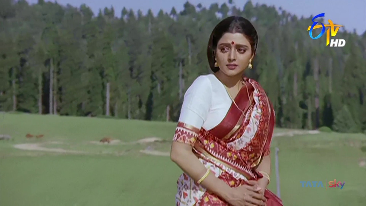 vlcsnap-2021-04-22-15h24m44s951